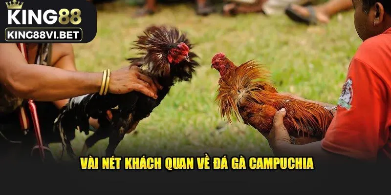 Giới thiệu đá gà Campuchia