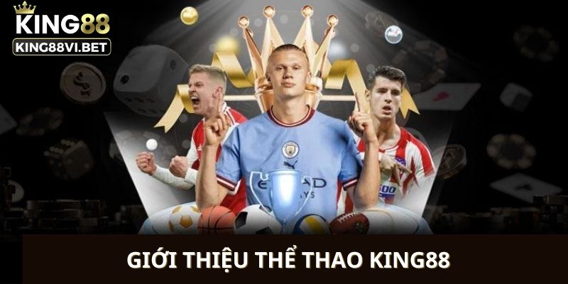 Đôi điều về sảnh cược Thể thao King88 hấp dẫn