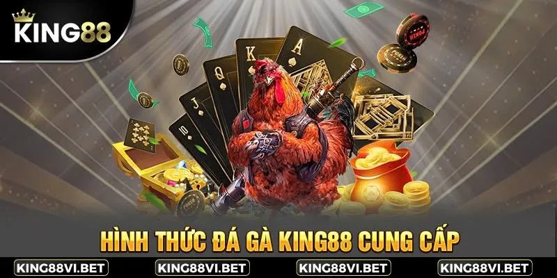 Tại King88, bạn có thể khám phá nhiều loại hình đá gà đặc sắc 