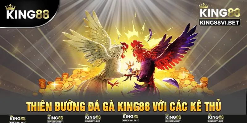 Đá gà thu hút hàng triệu người đến nhà cái King88