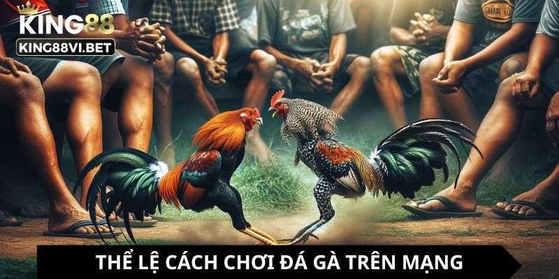 Hiểu rõ quy định cách chơi đá gà trên mạng