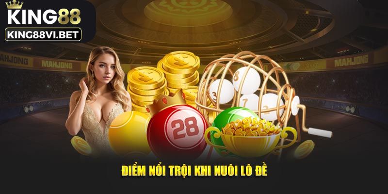 Điểm nổi bật nuôi lô đề